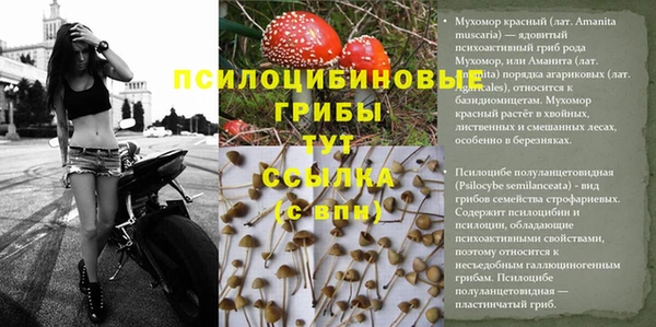 кокс Абинск