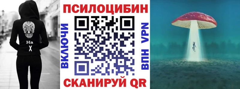 Псилоцибиновые грибы Psilocybine cubensis  Аксай 