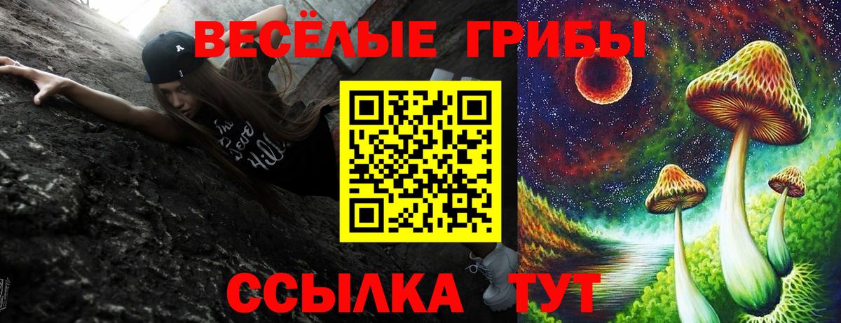 Аксай  Галлюциногенные грибы Psilocybine cubensis  где купить   Вход с VPN  Псилоцибиновые грибы Magic Shrooms 